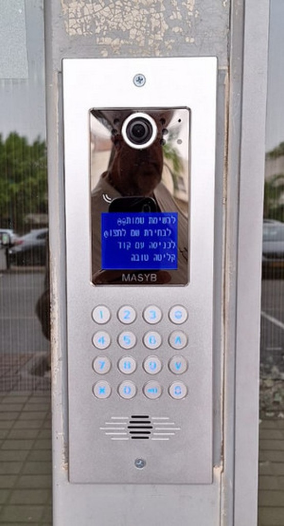 תמונה 11